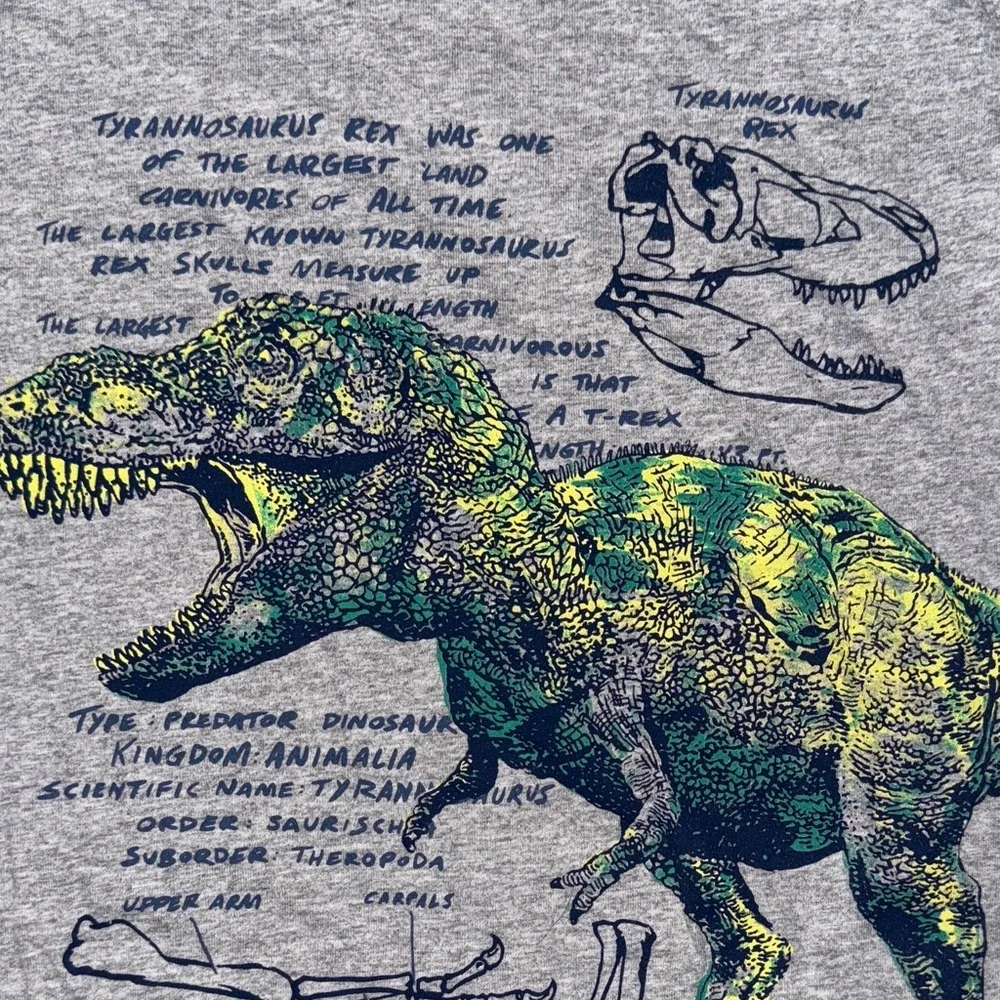 Carter's Gray T-Shirt with Dinosaur Design
